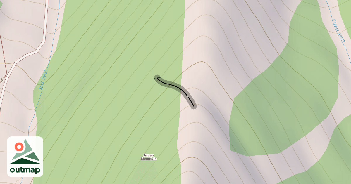 Map of Face of Bell