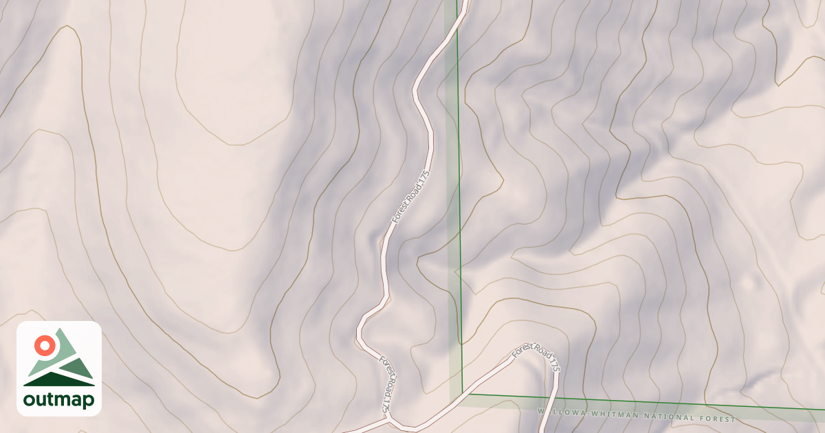 Map of USFS National Forest System Roads {38132877-B7D0-444F-840F-54066A060E1E}