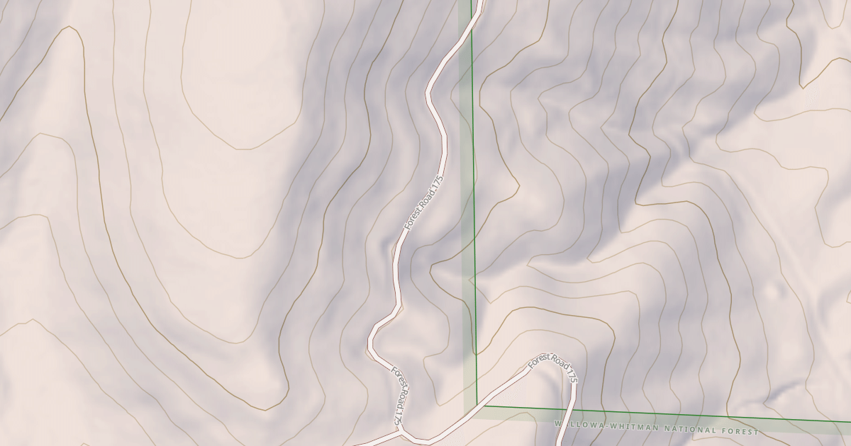Map preview of USFS National Forest System Roads {38132877-B7D0-444F-840F-54066A060E1E}