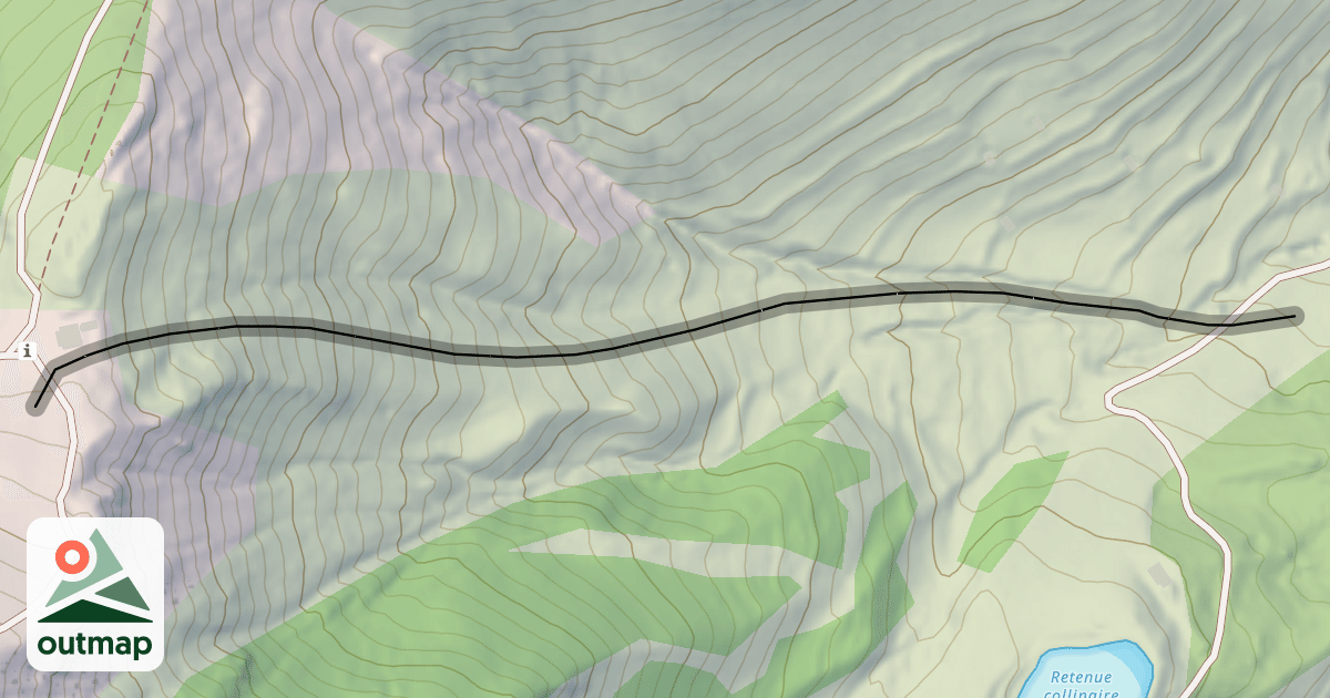 Map of Face