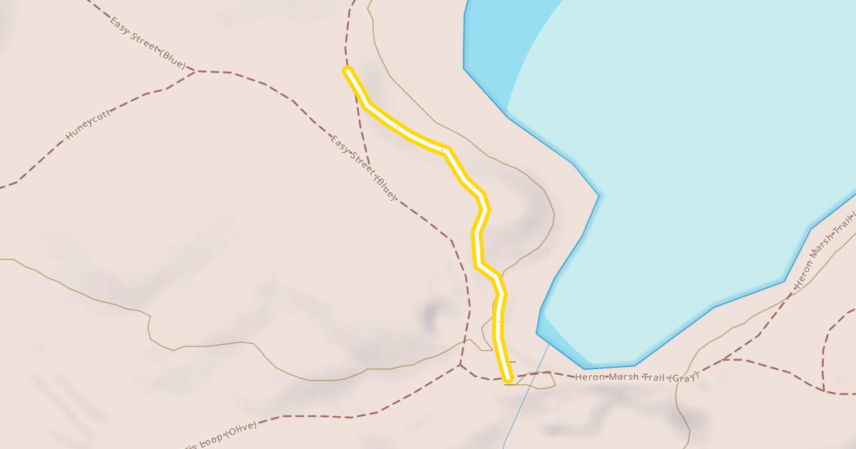 Map preview of Heron Marsh Trail (Gray) / Logger's Loop (Olive)