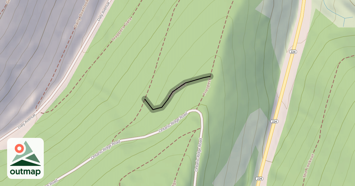Map of Root Cellar