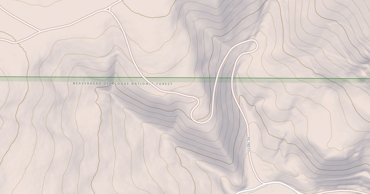 Map preview of USFS National Forest System Roads {52E50E2D-BE87-4C23-BA0E-BC2FFC584A4F}