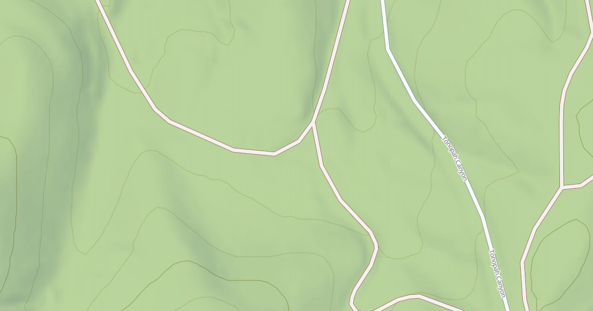 Map preview of BLM National GTLF Public Motorized Roads 1916ac4e-58d2-43fb-acaa-aac647965ffb