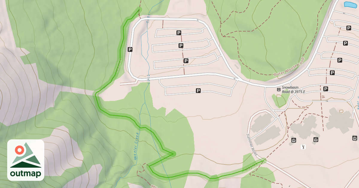 Map of Maples