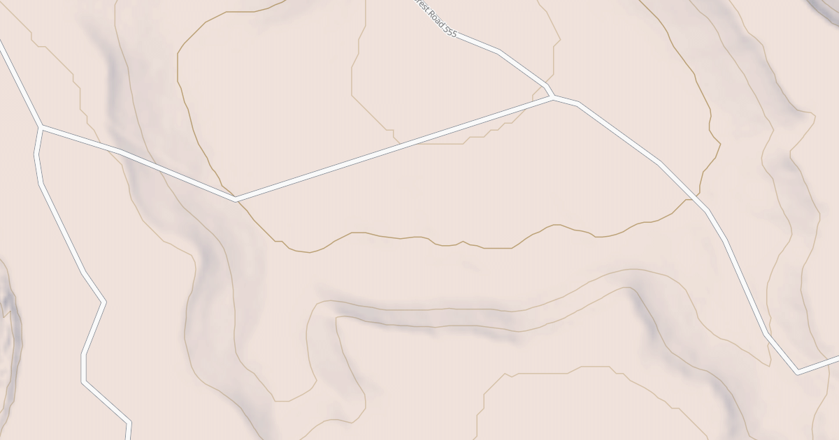 Map preview of USFS National Forest System Roads {195DA0C3-45DD-4492-B836-E1E1F046C37C}