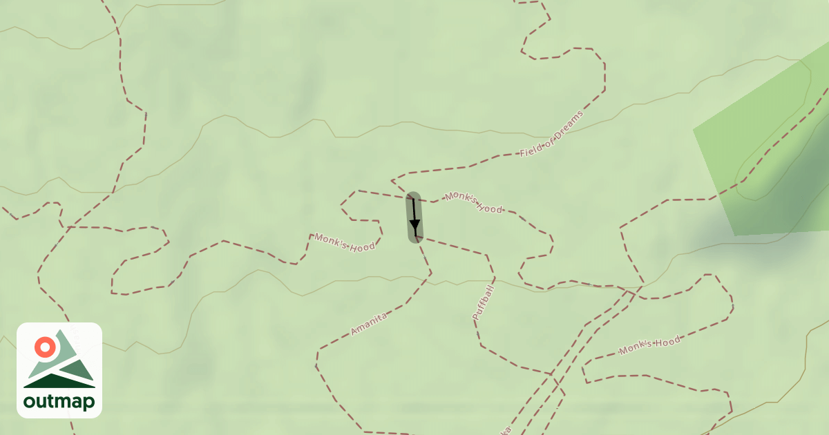 Map of Amanita/Puffball