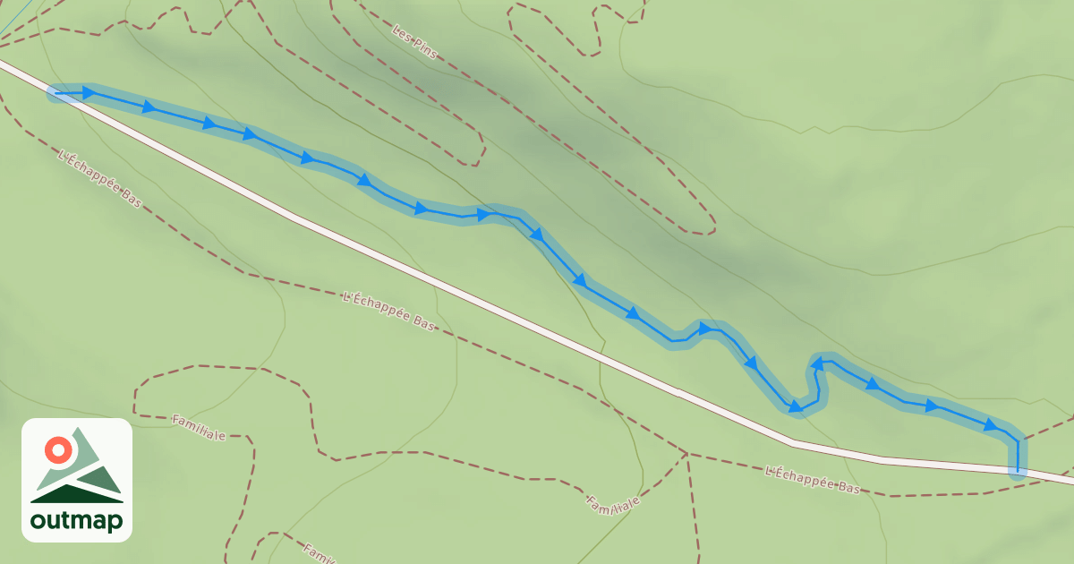 Map of Flow