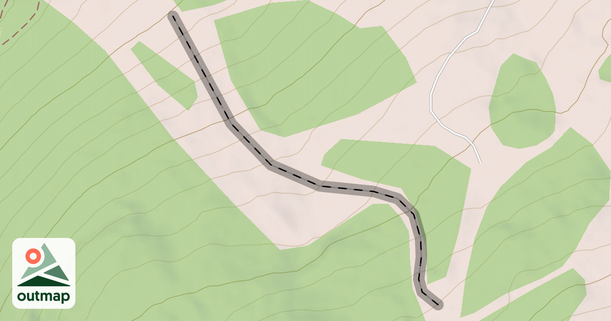 Map of Nine Lives