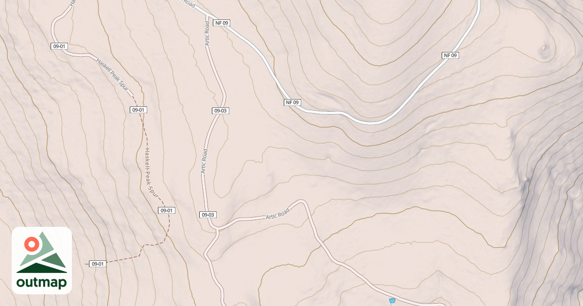 Map of ARTIC
