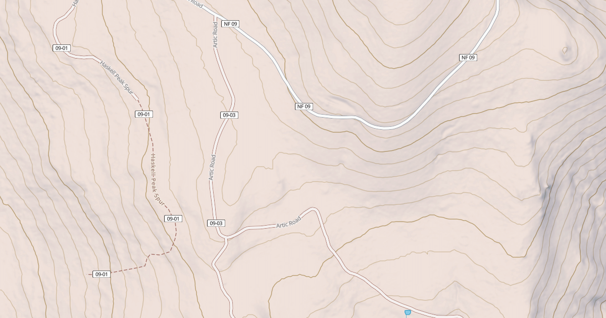 Map preview of ARTIC