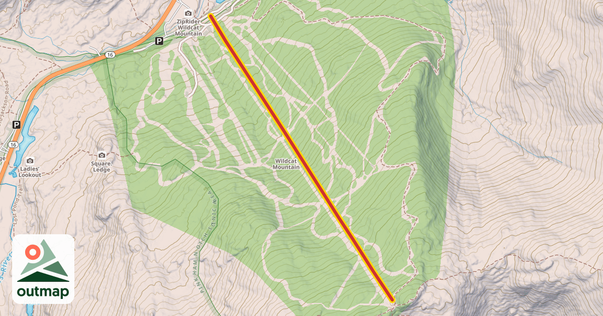 Map of Wildcat Express Quad