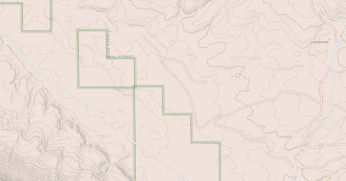 Map preview of USFS National Forest System Roads {CB4ED4BB-BFED-4DE3-AFAD-98E736B2E02E}