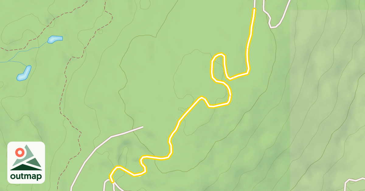 Map of Blueberry