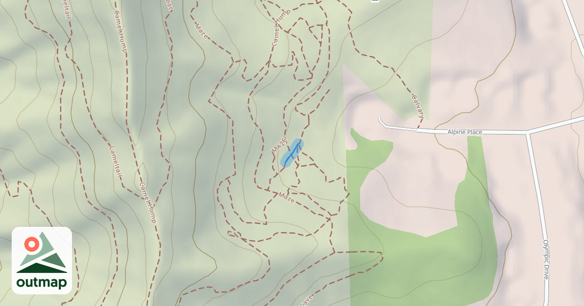 Map of MAZE