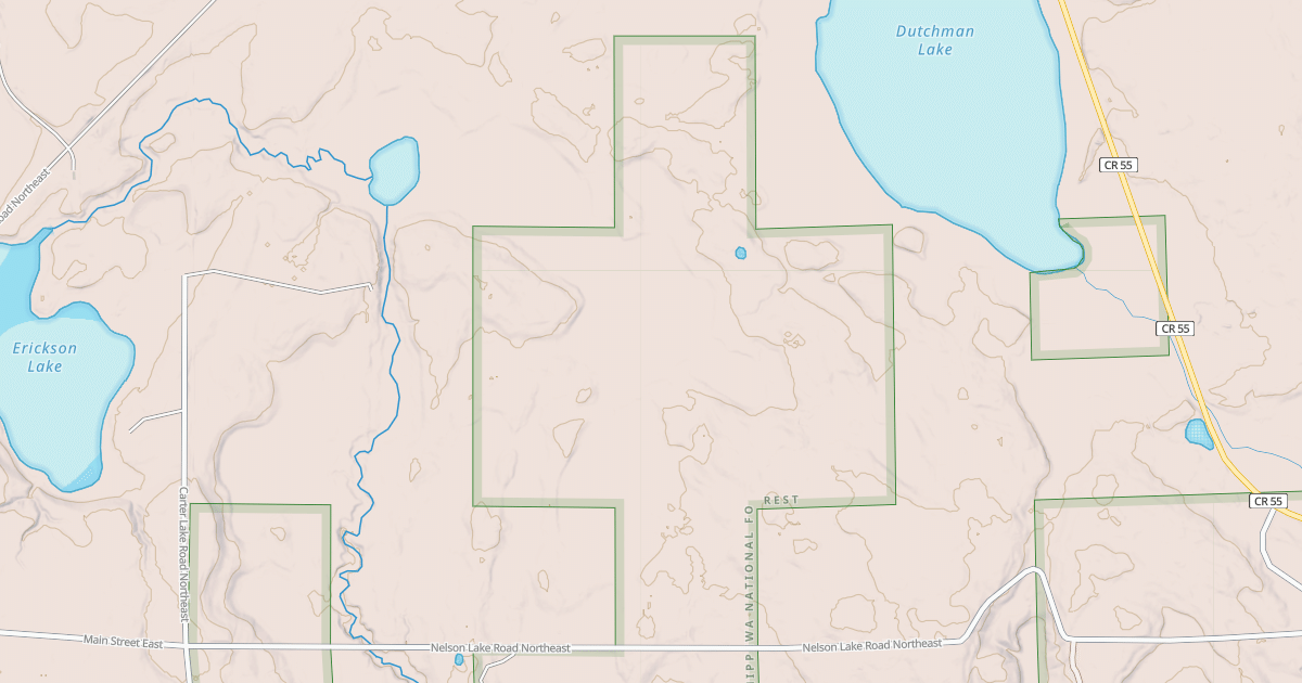 Map preview of NELSON LAKE SPUR C