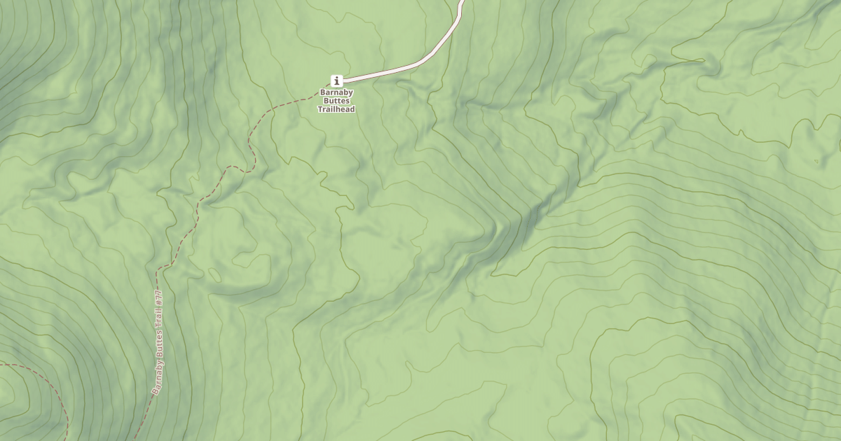 Map preview of USFS Motor Vehicle Use Map Roads {151C0EC0-1975-4CA5-821F-3E566048D9A8}