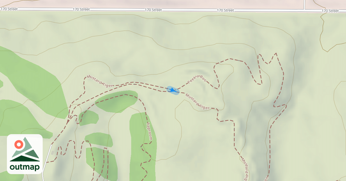 Map of Mustard Tiger