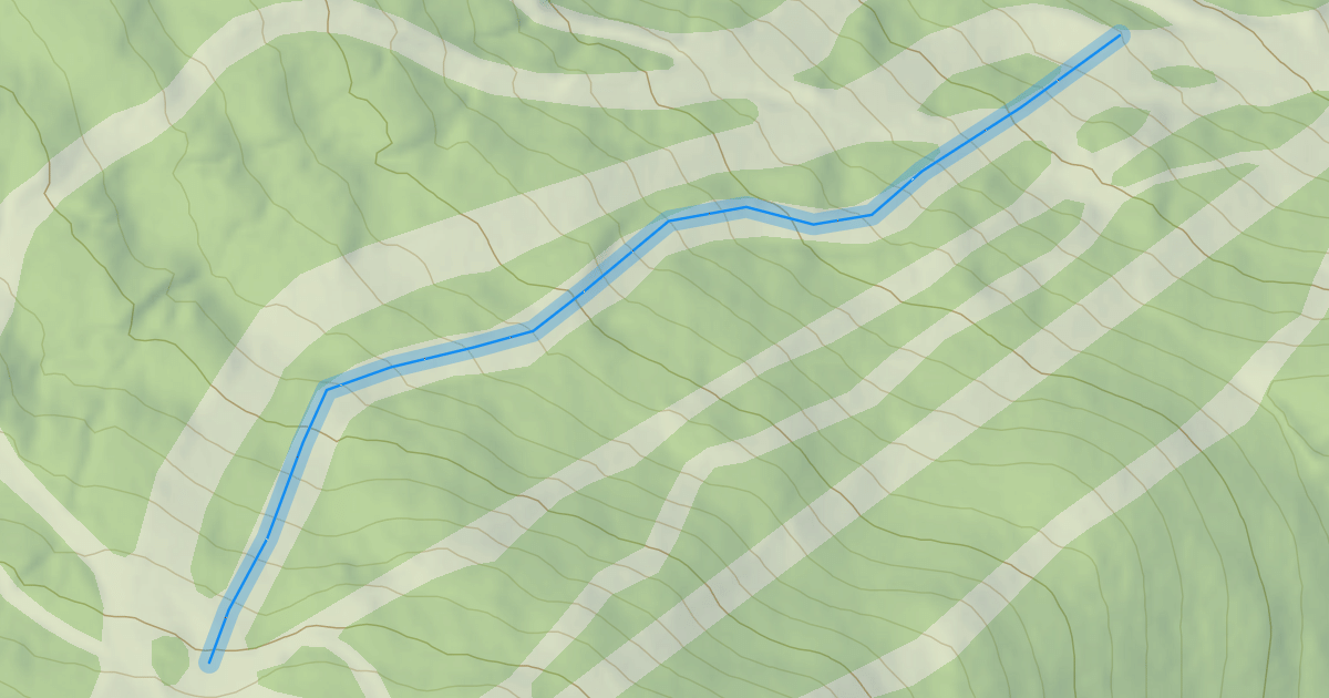Map preview of Which Way