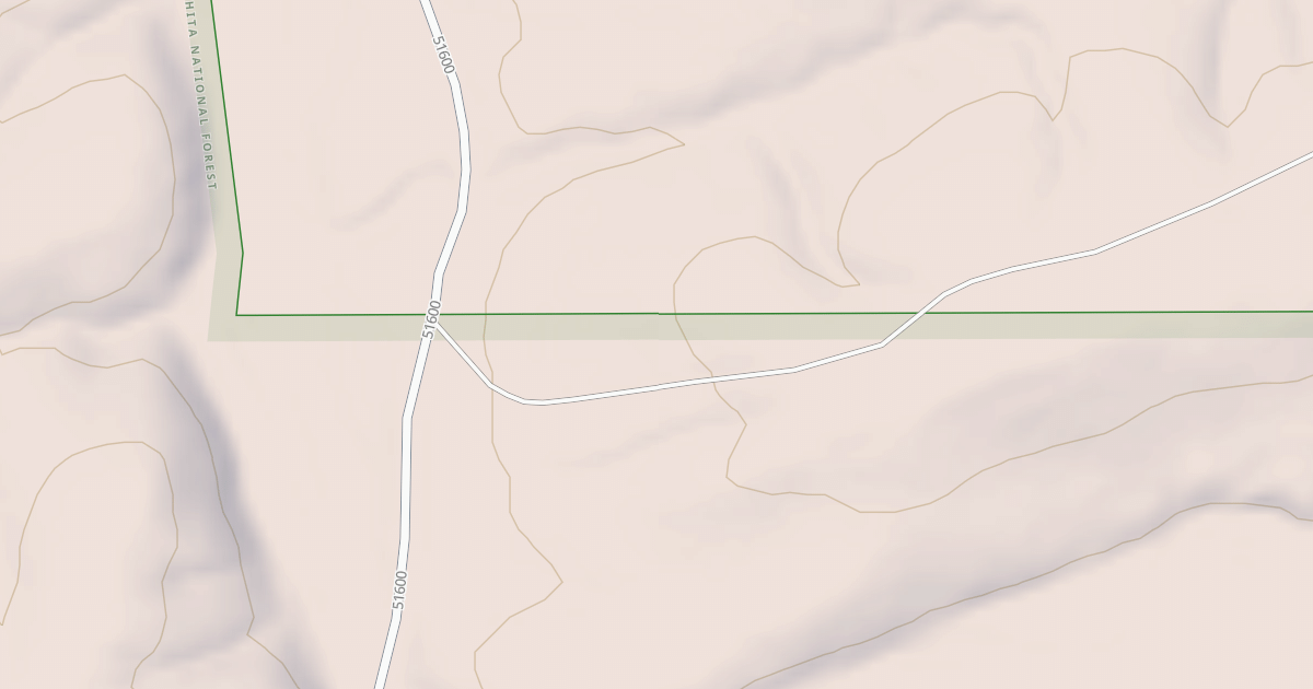Map preview of USFS National Forest System Roads {01C78503-E723-46BC-BA76-624F22092A1E}