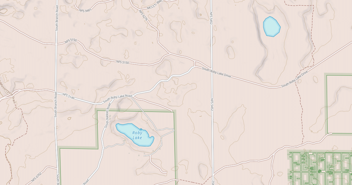 Map preview of Newaygo-Wellston Smt Dnr3