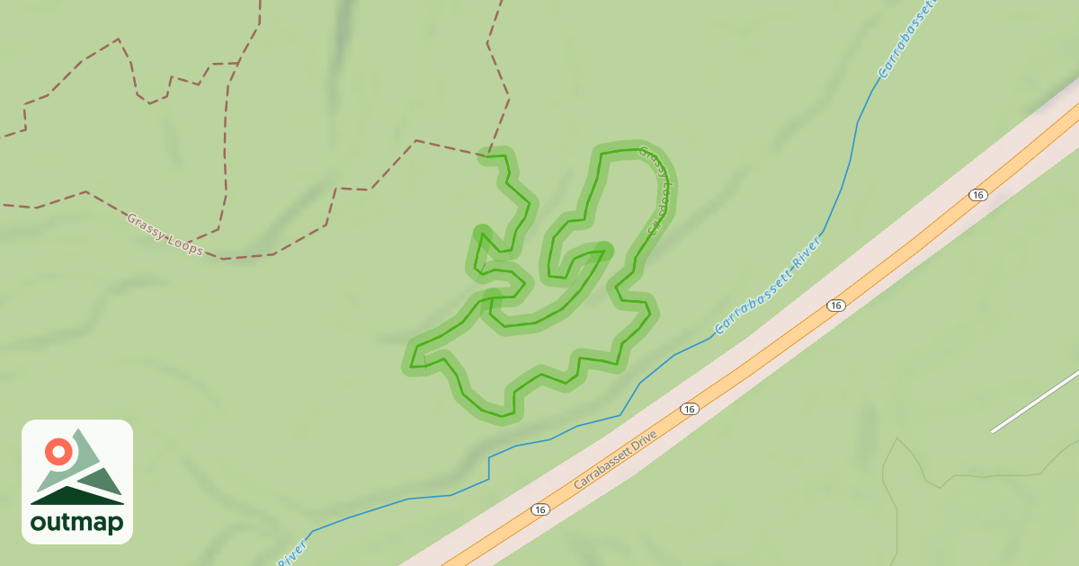 Map of Grassy Loops #3