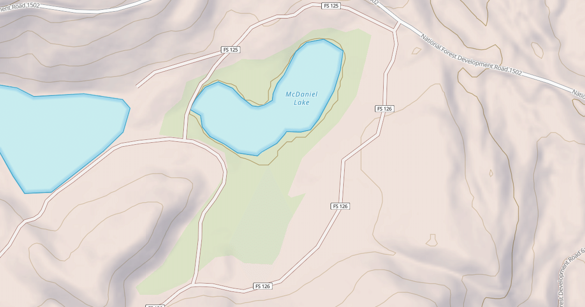 Map preview of MCDANIEL LAKE CG 2