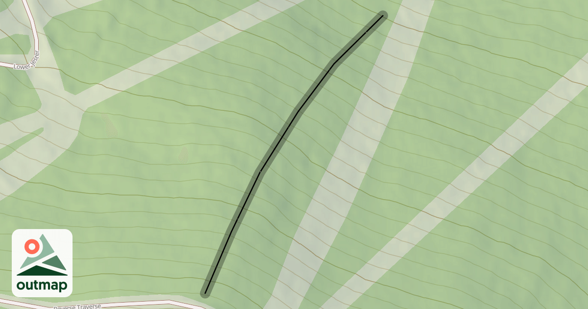 Map of Stein's Woods