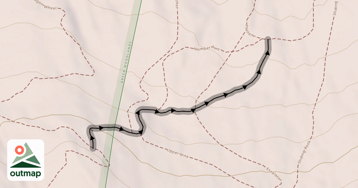 Map of Xylem