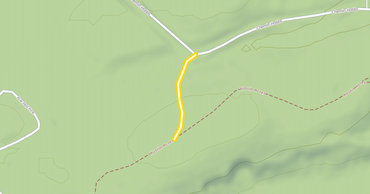 Map preview of Austin Acres