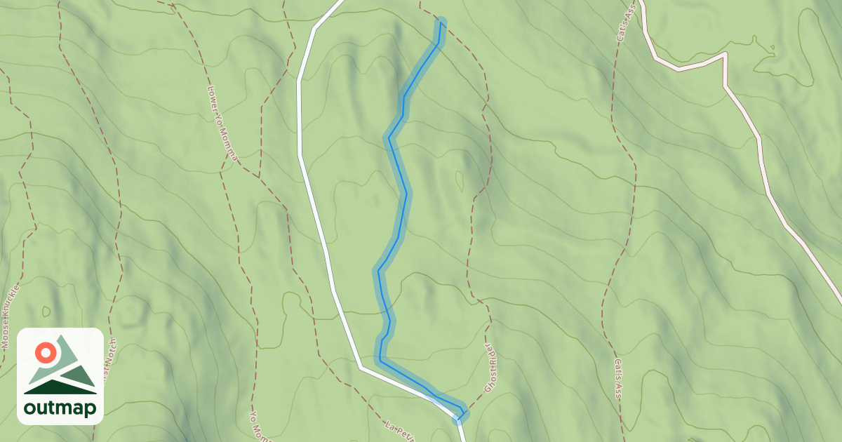 Map of Carmi