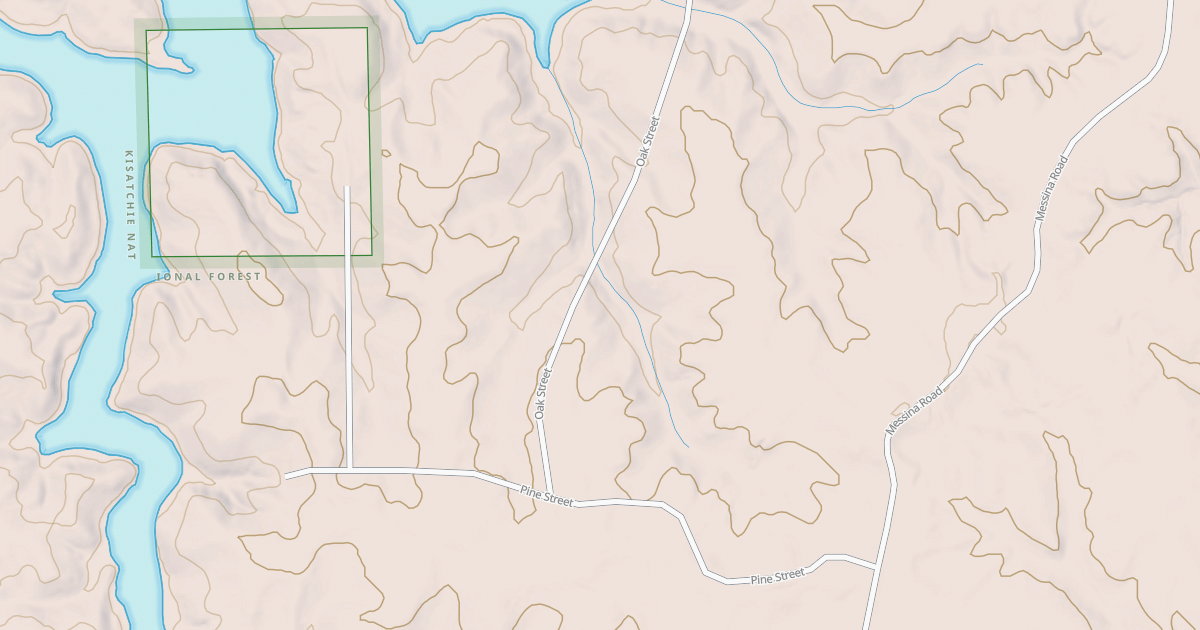Map preview of PINE STREET