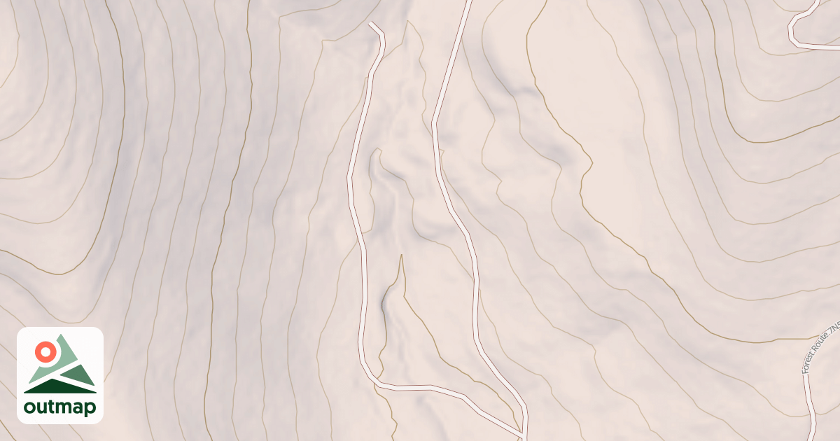 Map of USFS National Forest System Roads {699874D3-5411-47C5-9297-2599479CC2CD}