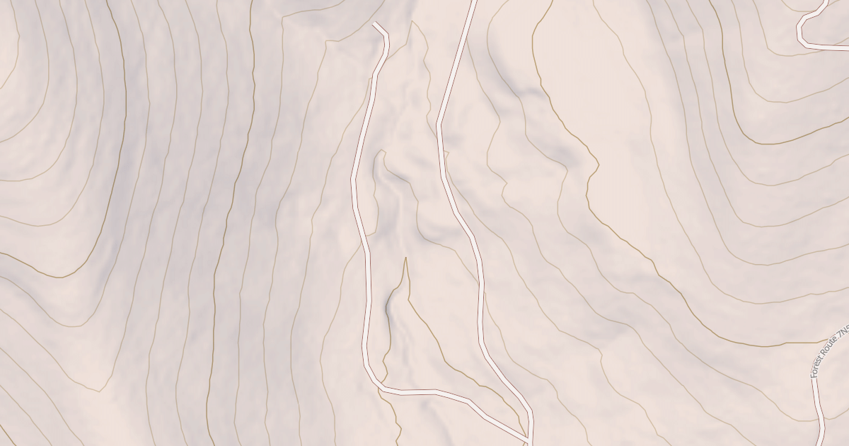 Map preview of USFS National Forest System Roads {699874D3-5411-47C5-9297-2599479CC2CD}