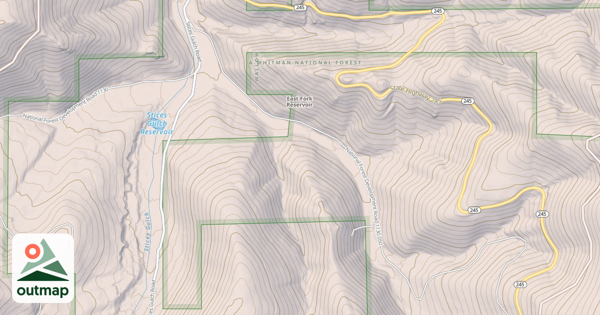 Map of USFS National Forest System Roads {4BC8E1D2-0FD4-423E-B60A-E7E1F497BDFD}