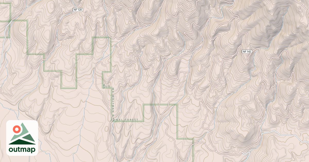 Map of USFS National Forest System Roads {0CBB6F4F-7AFC-4E3C-89FE-9E65B9653E6C}