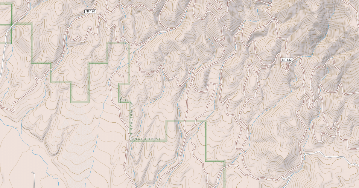 Map preview of USFS National Forest System Roads {0CBB6F4F-7AFC-4E3C-89FE-9E65B9653E6C}