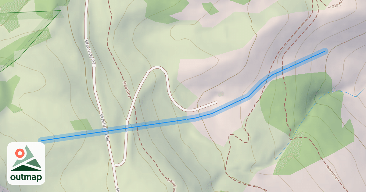 Map of Sun King