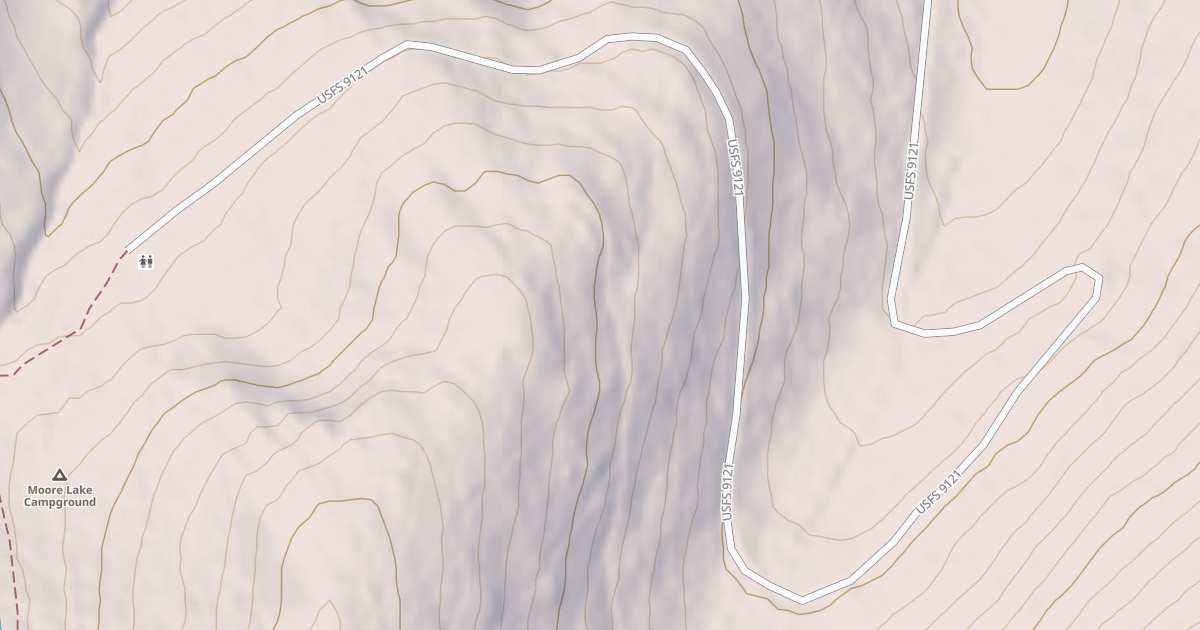 Map preview of MOORE LAKE