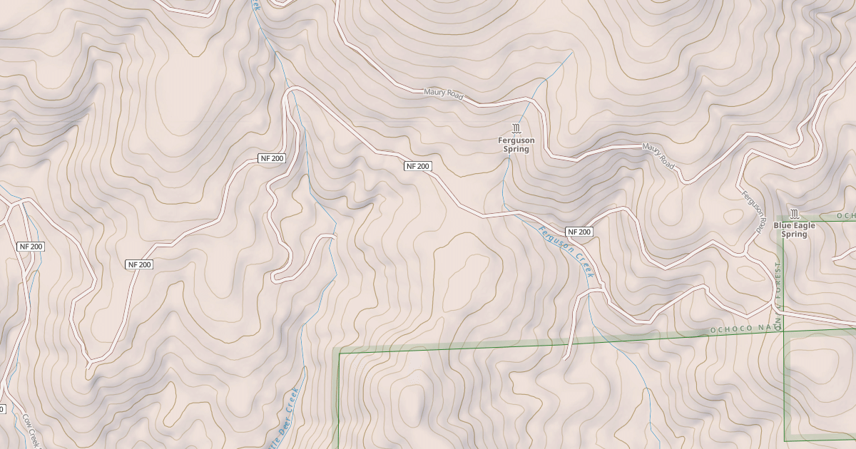 Map preview of USFS Motor Vehicle Use Map Roads {739D9845-5999-4B86-8E91-5E882A507B32}