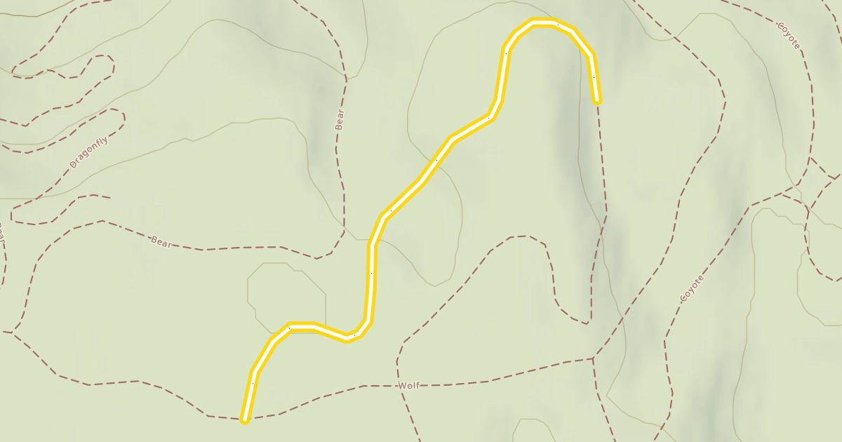 Map preview of Lynx