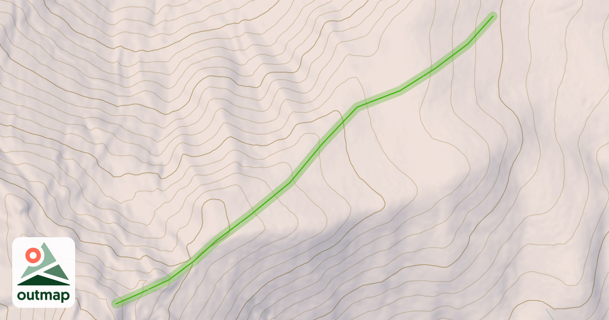 Map of Grizzly Road