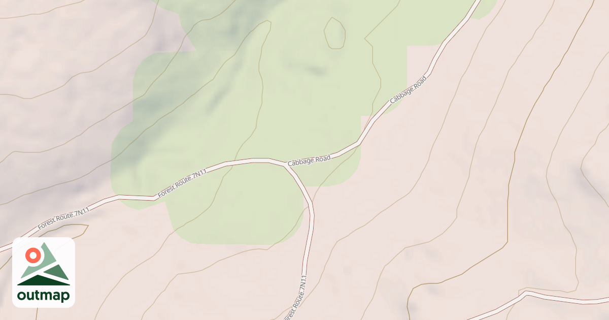 Map of USFS Motor Vehicle Use Map Roads {557AF0E4-013C-4CB2-A4ED-15B908451D42}