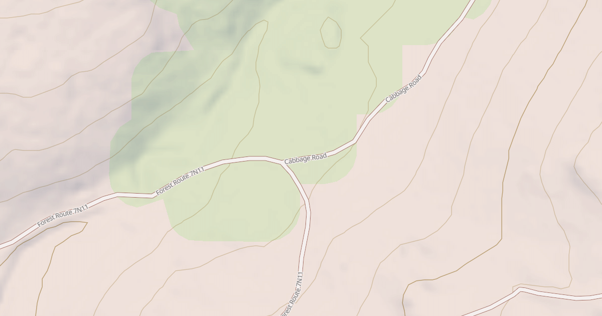 Map preview of USFS Motor Vehicle Use Map Roads {557AF0E4-013C-4CB2-A4ED-15B908451D42}