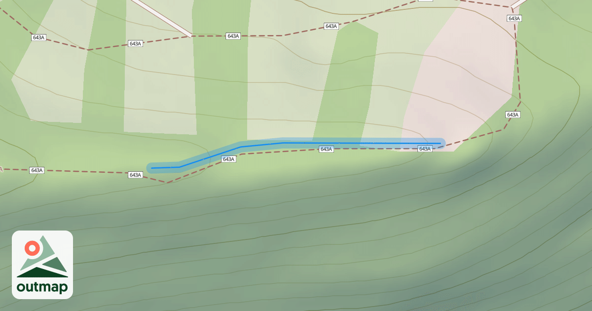 Map of Homestead