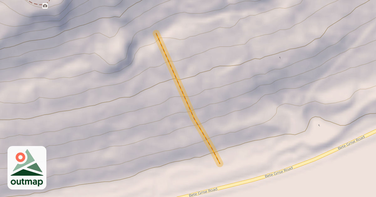 Map of Bumbling Bee