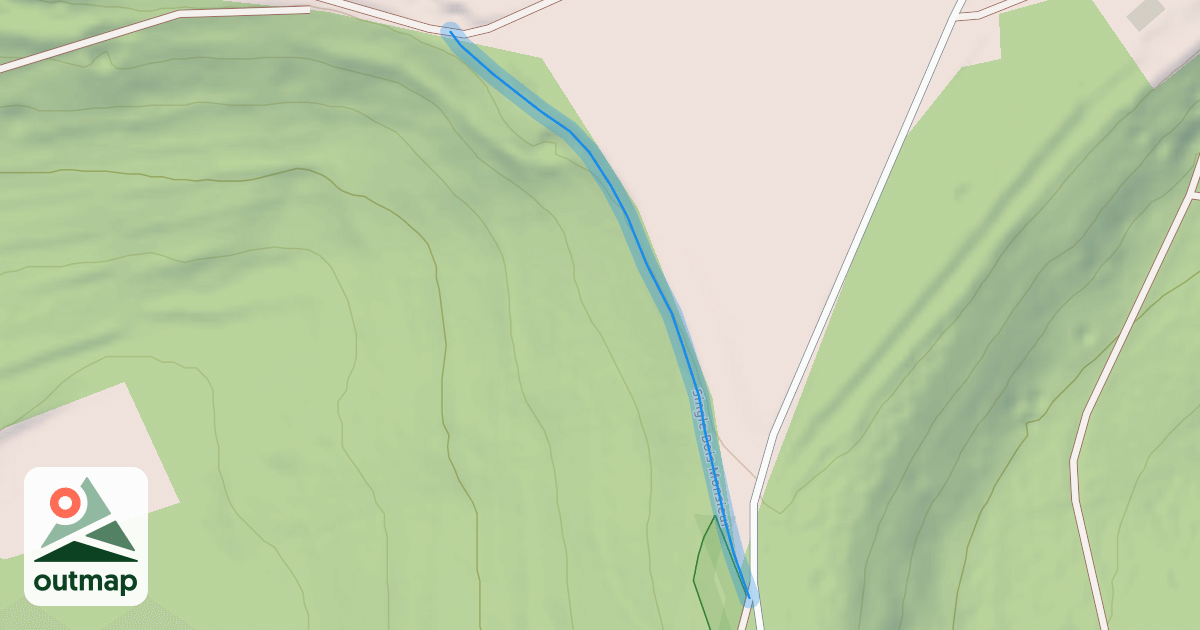 Map of Single Bois Monsieur
