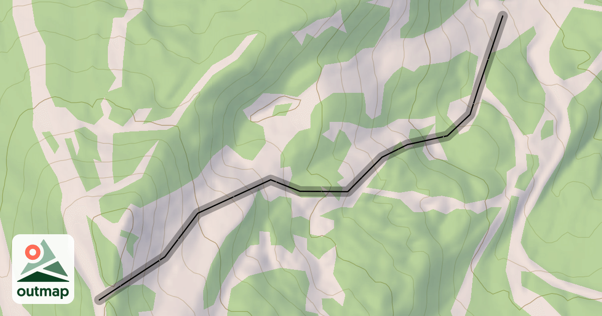 Map of Moonshine