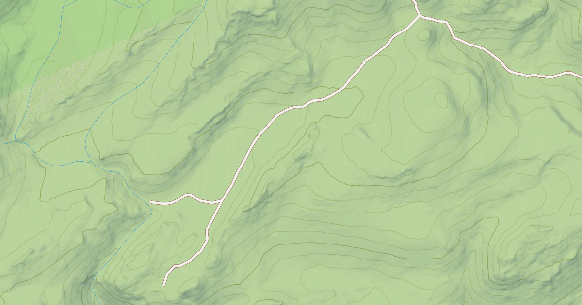 Map preview of USFS National Forest System Roads {BC48D45D-3E1D-4303-8731-140CE9B89354}