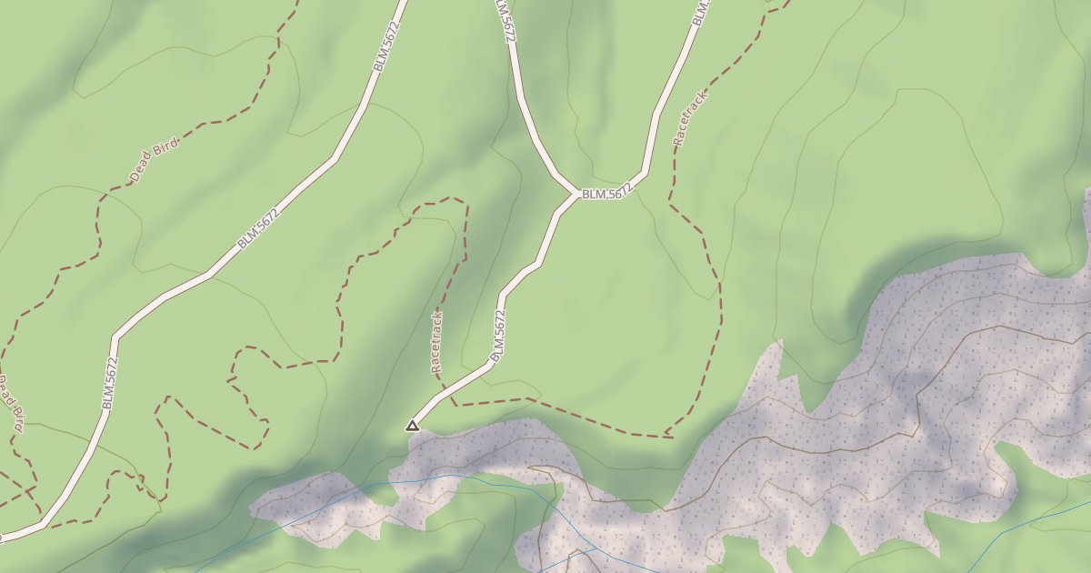 Map preview of BLM National GTLF Public Motorized Roads 25a942e3-de68-49dc-ad7b-9ecbfd518d39